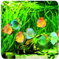 Luftentfeuchter für Räume mit Aquarium