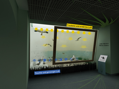 Funktionsweise Klimavitrine